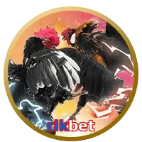 rikbet